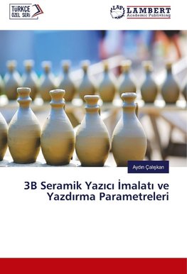 3B Seramik Yazici Imalati ve Yazdirma Parametreleri