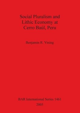 Social Pluralism and Lithic Economy at Cerro Baúl, Peru