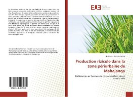 Production rizicole dans la zone périurbaine de Mahajanga