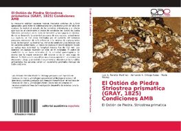 El Ostión de Piedra Striostrea prismatica (GRAY, 1825) Condiciones AMB