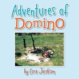 Adventures of Domino