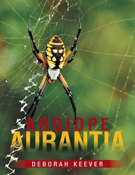 Argiope Aurantia