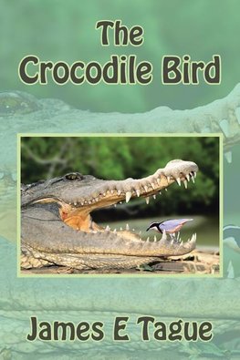 The Crocodile Bird