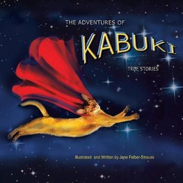 The Adventures of Kabuki