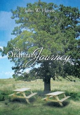 No Ordinary Journey