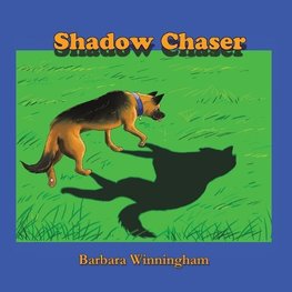 Shadow Chaser