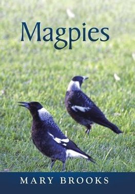 Magpies