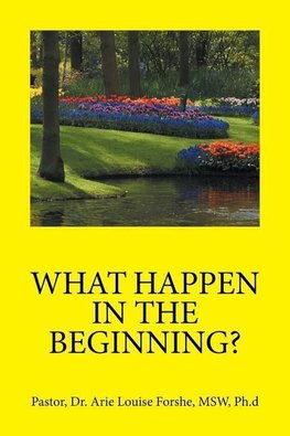 WHAT HAPPEN IN THE BEGINNING?