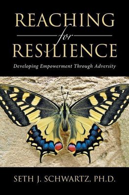 Reaching for Resilience