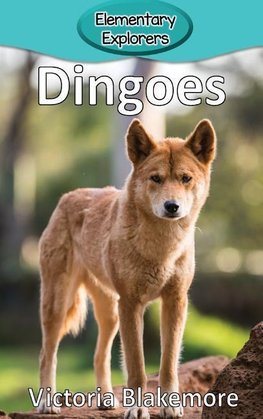 Dingoes