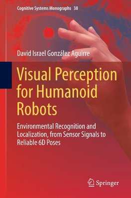 Visual Perception for Humanoid Robots