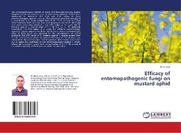 Efficacy of entomopathogenic fungi on mustard aphid