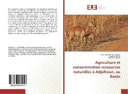 Agriculture et consommation ressources naturelles à Adjohoun, au Benin