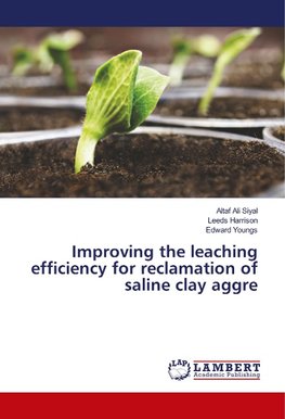 Improving the leaching efficiency for reclamation of saline clay aggre