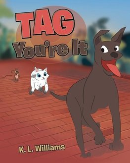 Tag You're It