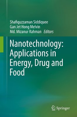 Nanotechnology: Applications in Energy, Drug and Food