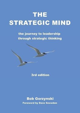 STRATEGIC MIND 3/E