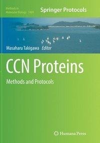 CCN Proteins