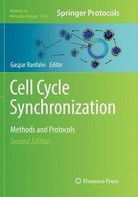 Cell Cycle Synchronization