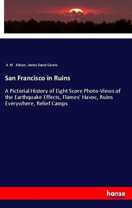 San Francisco in Ruins