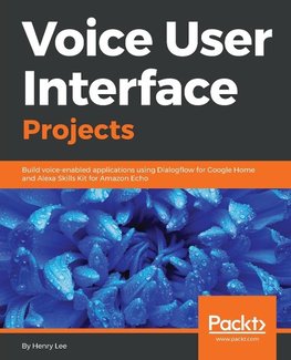 VOICE USER INTERFACE PROJECTS