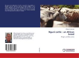 Nguni cattle - an African breed