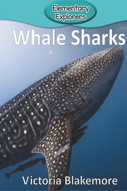 Whale Sharks