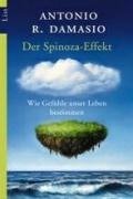 Der Spinoza-Effekt