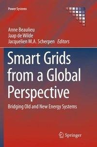 Smart Grids from a Global Perspective