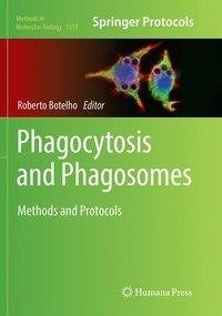 Phagocytosis and Phagosomes