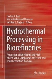 Hydrothermal Processing in Biorefineries