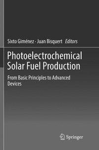 Photoelectrochemical Solar Fuel Production