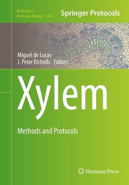 Xylem