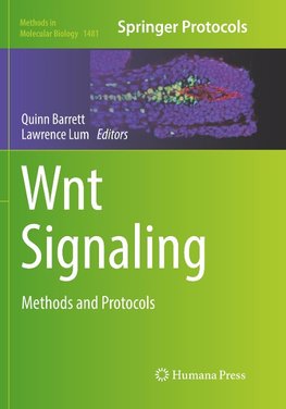 Wnt Signaling