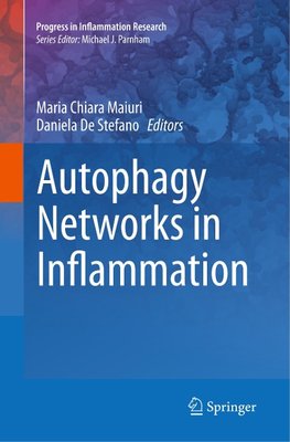 Autophagy Networks in Inflammation