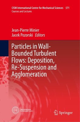 Particles in Wall-Bounded Turbulent Flows: Deposition, Re-Suspension and Agglomeration