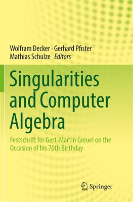 Singularities and Computer Algebra