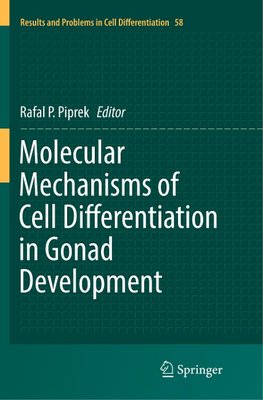 Molecular Mechanisms of Cell Differentiation in Gonad Development