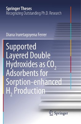 Supported Layered Double Hydroxides as CO2 Adsorbents for Sorption-enhanced H2 Production