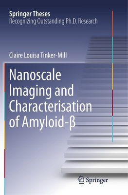 Nanoscale Imaging and Characterisation of Amyloid-ß