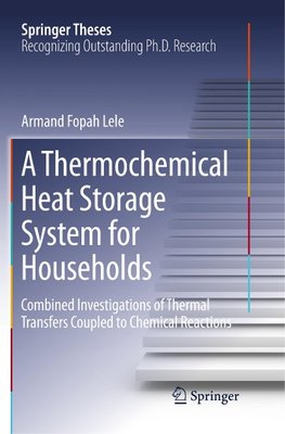 A Thermochemical Heat Storage System for Households