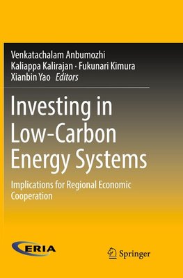 Investing in Low-Carbon Energy Systems