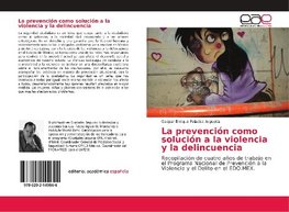 La prevención como solución a la violencia y la delincuencia