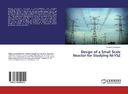 Design of a Small Scale Reactor for Studying Ni-YSZ