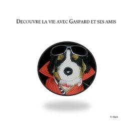 DZcouvre la vie avec Gaspard et ses amis