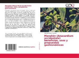 Marañón (Anacardium occidentale) beneficios, usos y propuestas gastronómicas