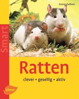 Ratten