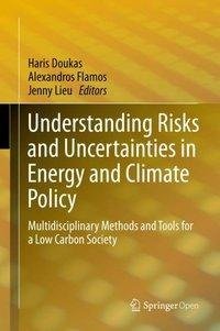 Understanding Risks and Uncertainties in Energy and Climate Policy