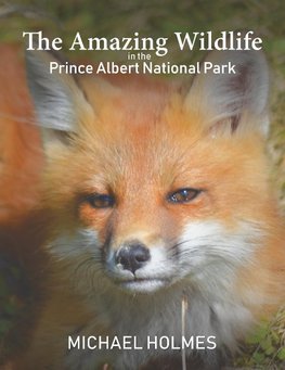 The Amazing Wildlife in the Prince Albert National Park