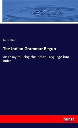 The Indian Grammar Begun